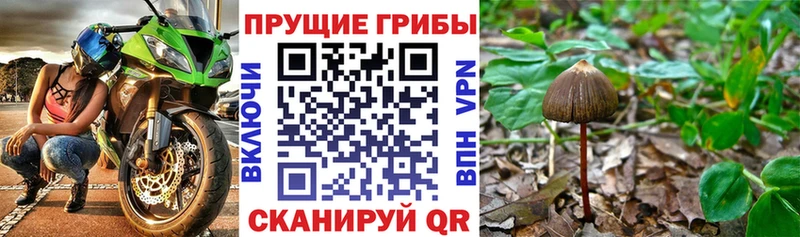 ссылка на мегу зеркало  наркотики  Апрелевка  Псилоцибиновые грибы ЛСД 